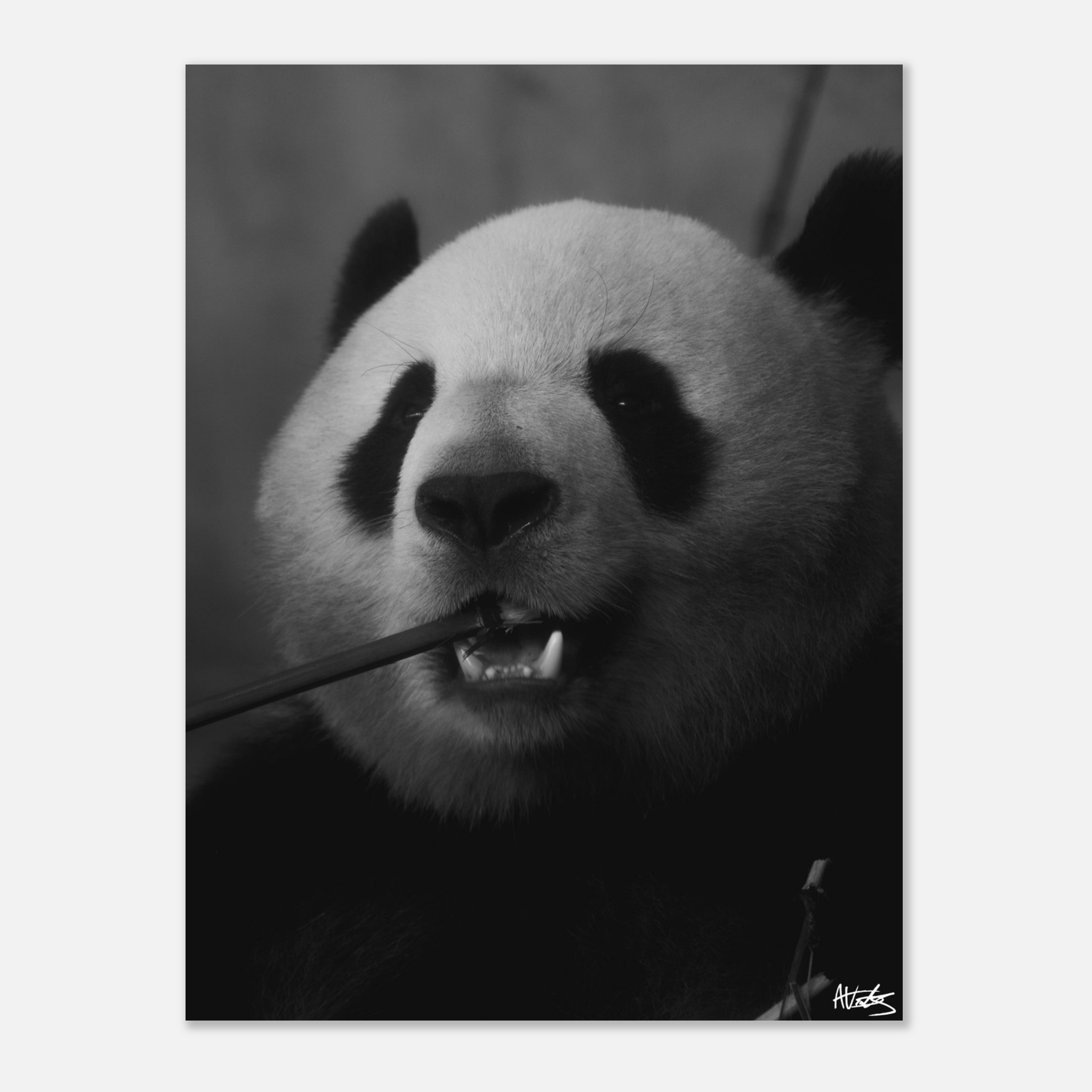 139fd146-833b-4d59-9fdd-899ef73d8c9a