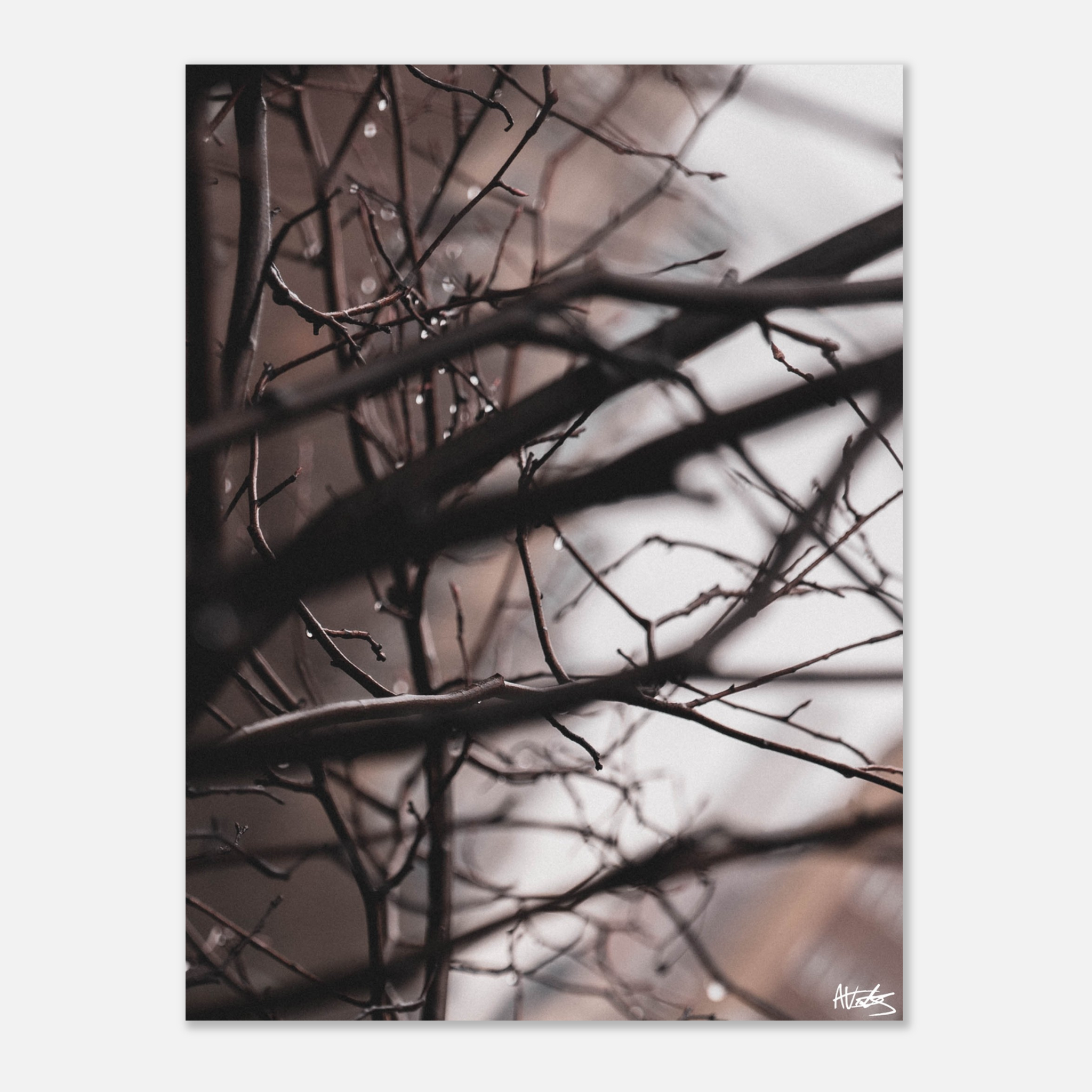 7b1861dd-20fe-48af-9a06-fe6f4a49191f