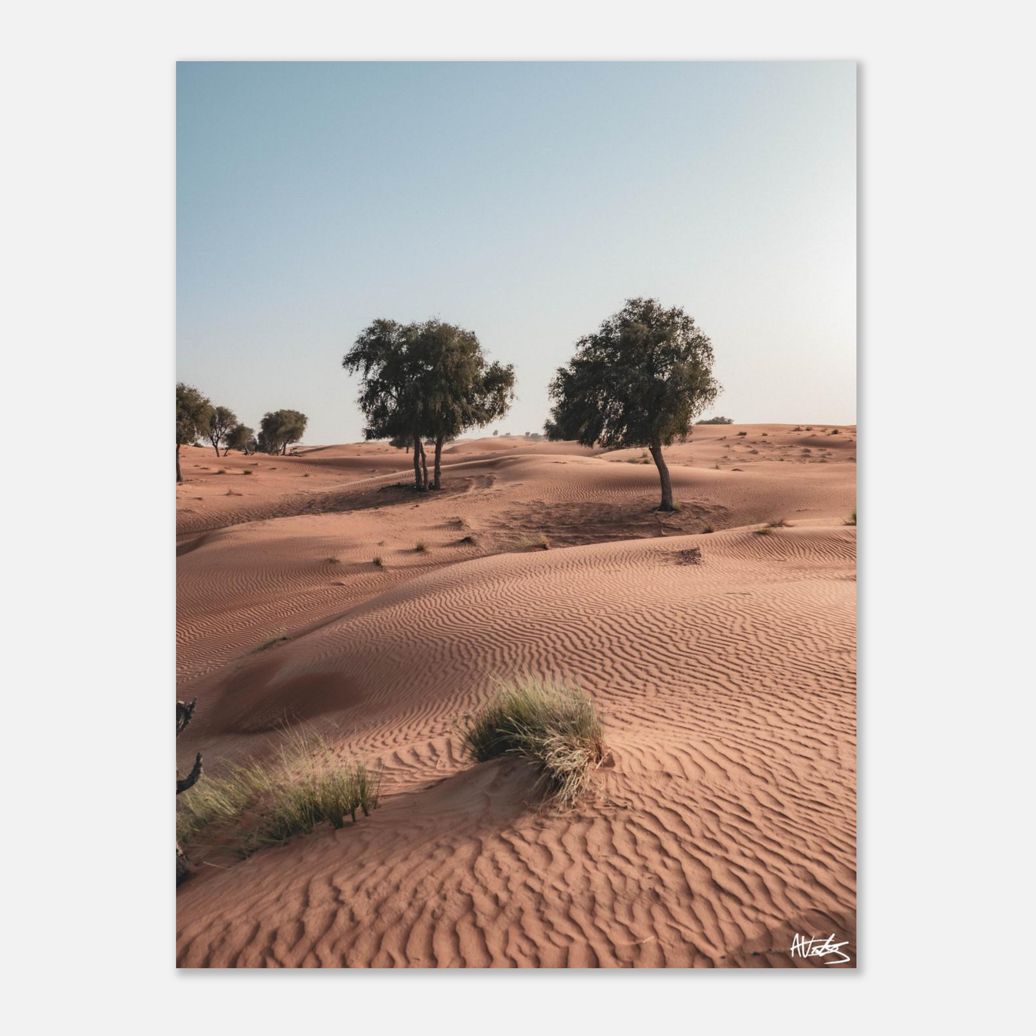 c59ea8af-11ab-4c9d-a1fe-3184c534dcce