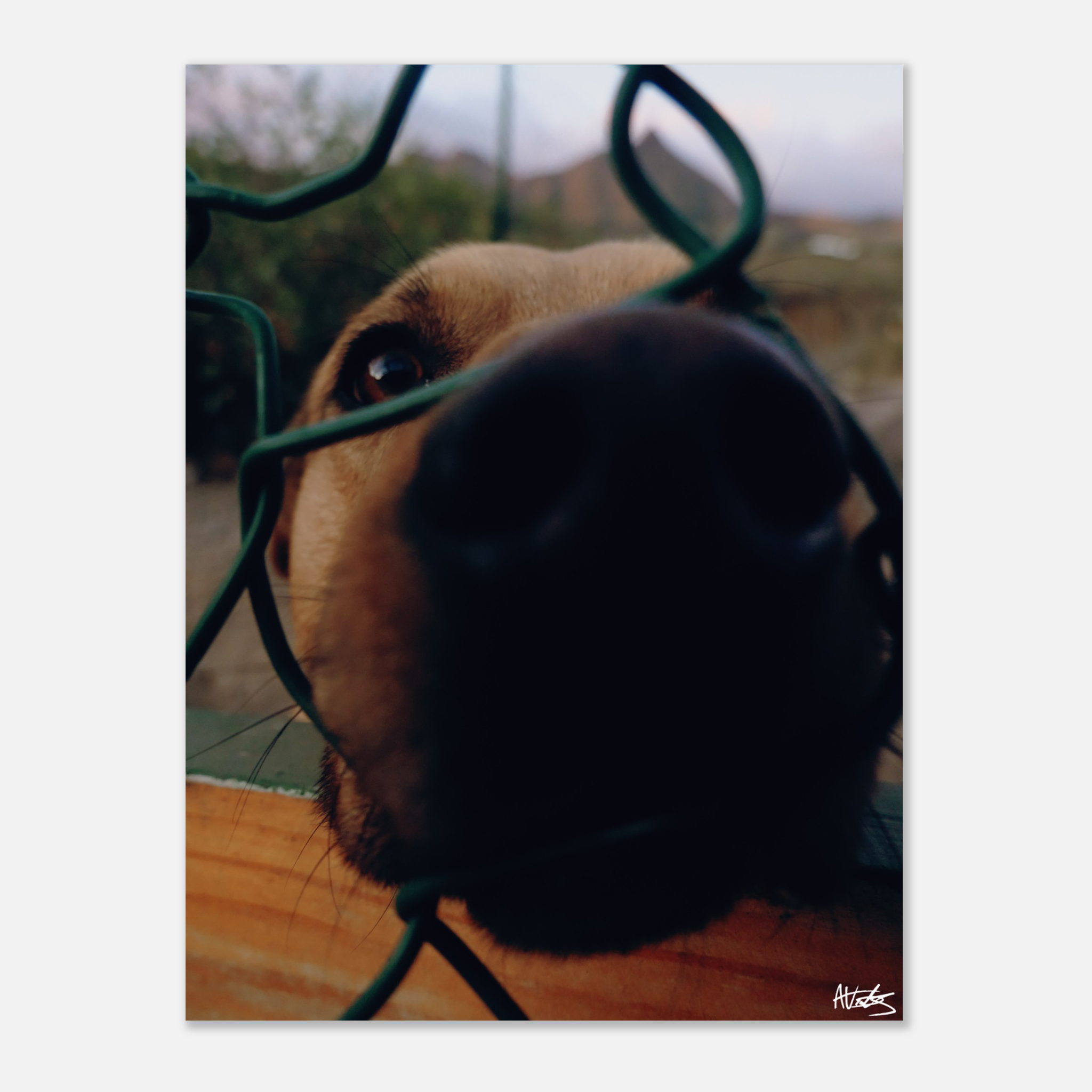 e2689963-70de-4a70-8af0-850cc901ac4d