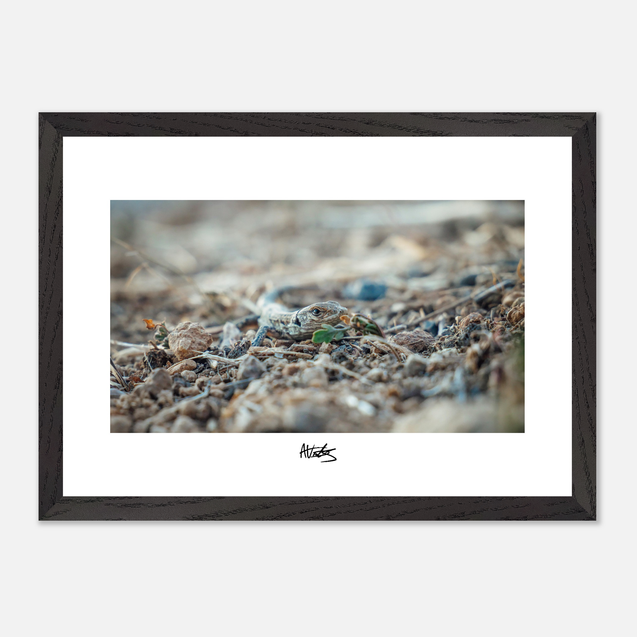 fc5ead4c-cc36-4294-858d-df05fc4e5b1f